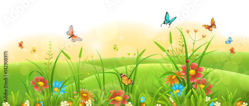Summer sunny meadow banner with green grass, flowers and butterflies