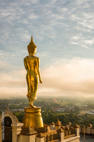 Buddha statue standing at Wat Phra That Khao Noi  Nan  thailand.