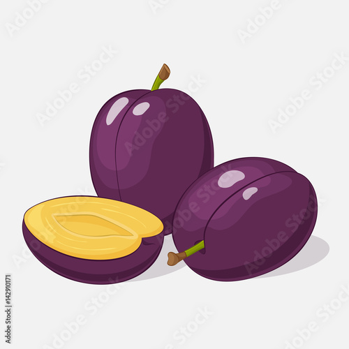 Bright juicy plum on grey background. Sweet delicious for your design in cartoon style. Vector illustration. Fruit Collection.