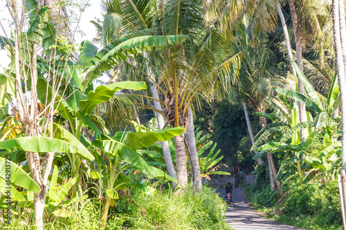 Tropical landscape with palms. Holiday and vacation concept. Tropical Bali island, Indonesia.