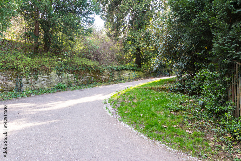 Naklejka premium Forest Path Foliage Bright Beautiful Day Outdoors Wildlife Park Destination Green Lush