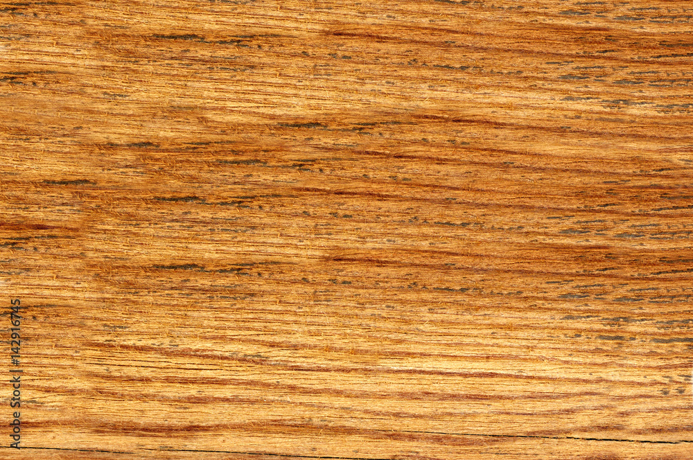 Wood texture close-up background Wood texture close-up background