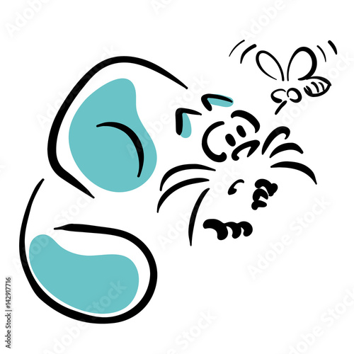 Cat and mosquito