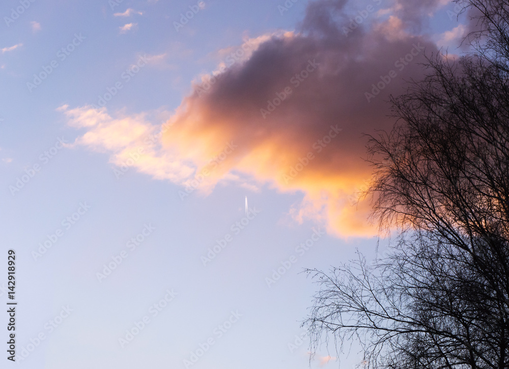 Fototapeta premium in the distance the plane flies right into a big cloud at sunset 