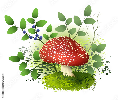 Poisonous mushroom fly-agaric, amanita