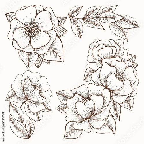 Wallpaper Mural Flowers. Hand drawing. Vector set Torontodigital.ca