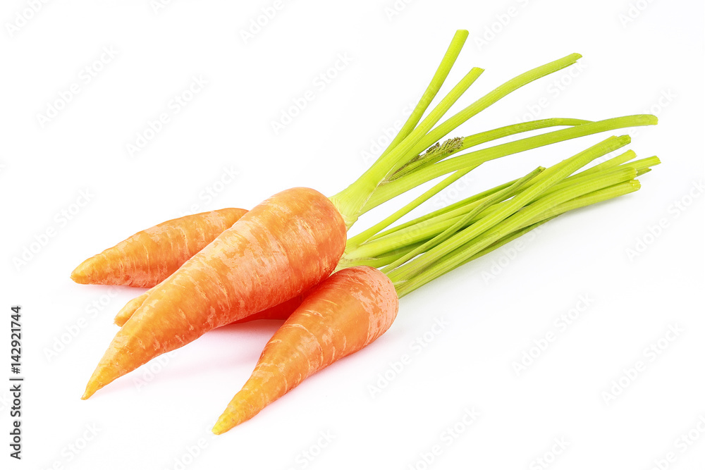 carrot carrot