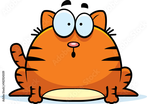 Surprised Little Cat