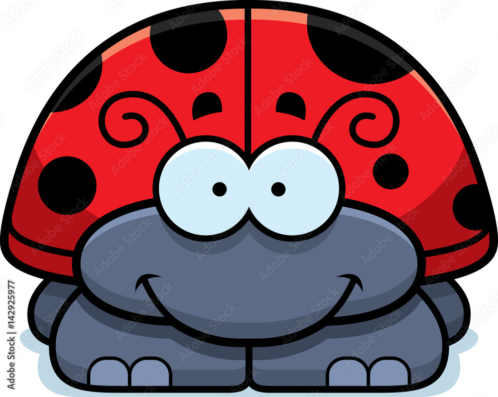 Fototapeta premium Smiling Little Ladybug
