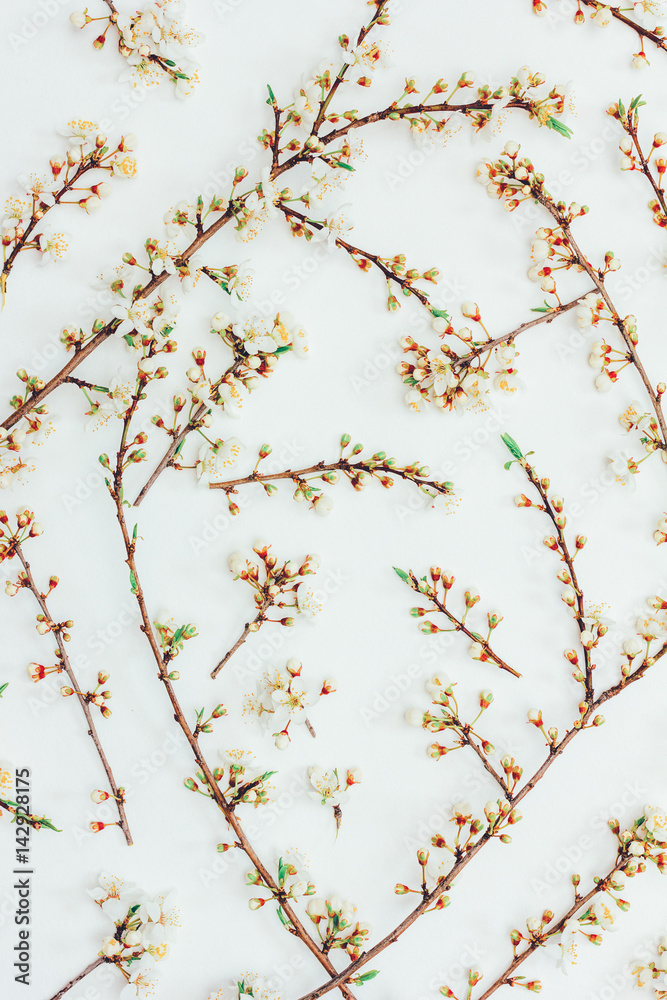 Blossoming spring branches of a fruit tree with white flowers on a white background top view Blossoming spring branches of a fruit tree with white flowers on a white background top view