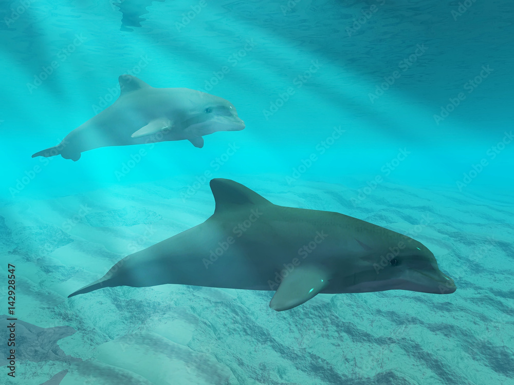 Fototapeta premium Dolphins under water