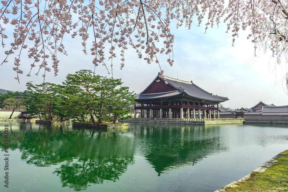 Gyeongbokgung Palace with cherry blossom in spring of korea. Gyeongbokgung Palace with cherry blossom in spring of korea.