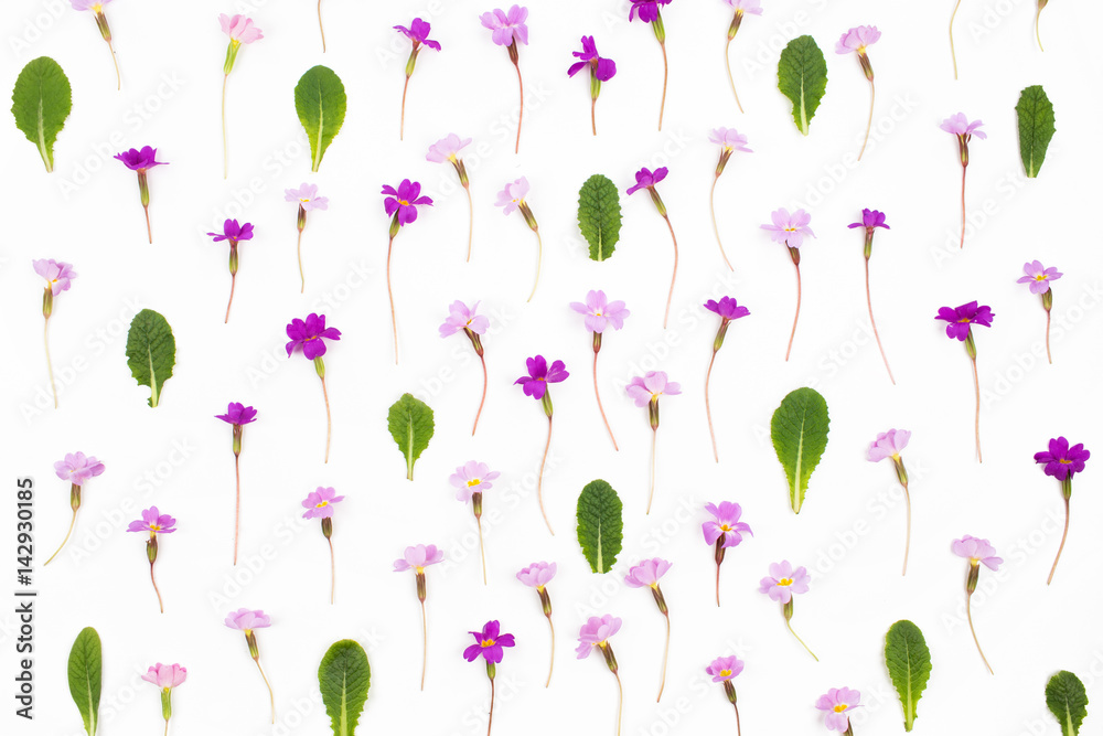 Flowers composition. Pattern made of lilac and purple  flowers and green leaves. Flat lay, top view.