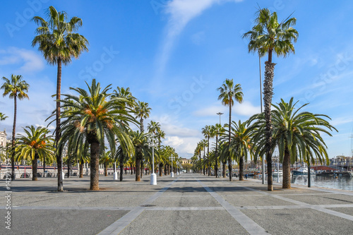 Photography Promenade