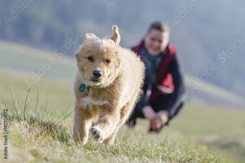 Auf dem Weg