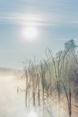 Wandcirkels Kantoor Mistige zonsopgang aan rivierdelta  © vadim_petrakov