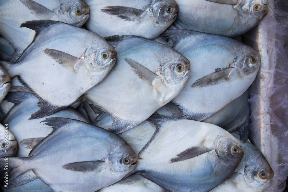 Fototapeta premium Fresh seafood on the market.
