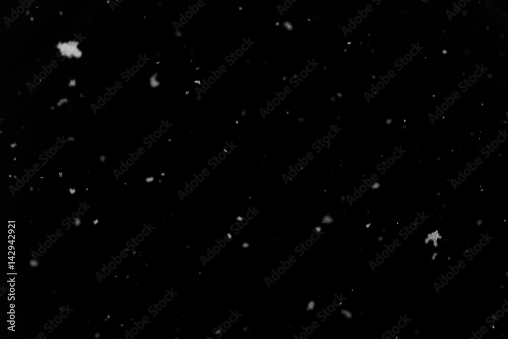 Real snowflakes in front of black background