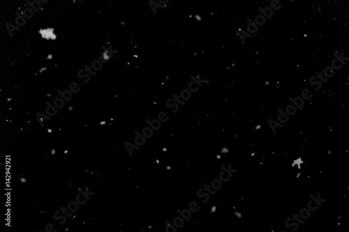 Real snowflakes in front of black background