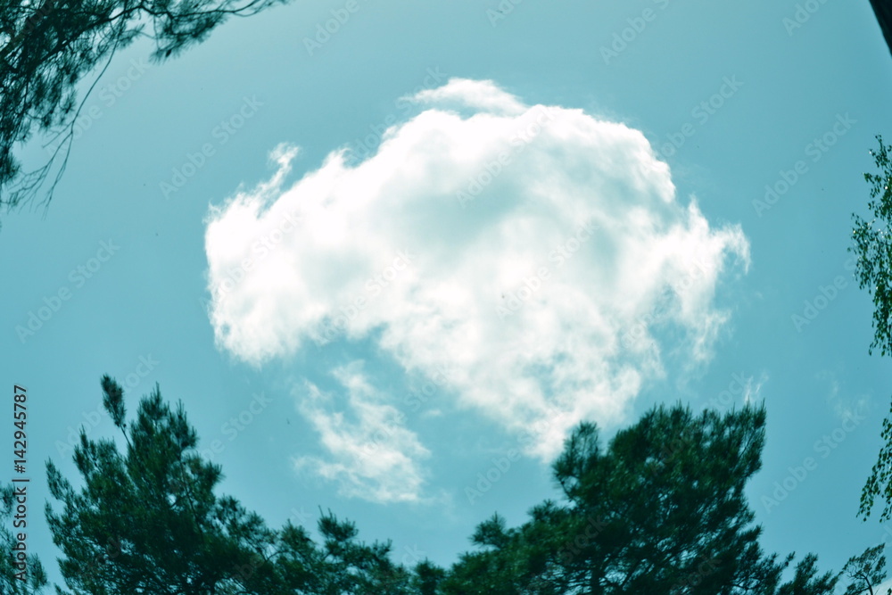 blue sky with white cloud background blue sky with white cloud background