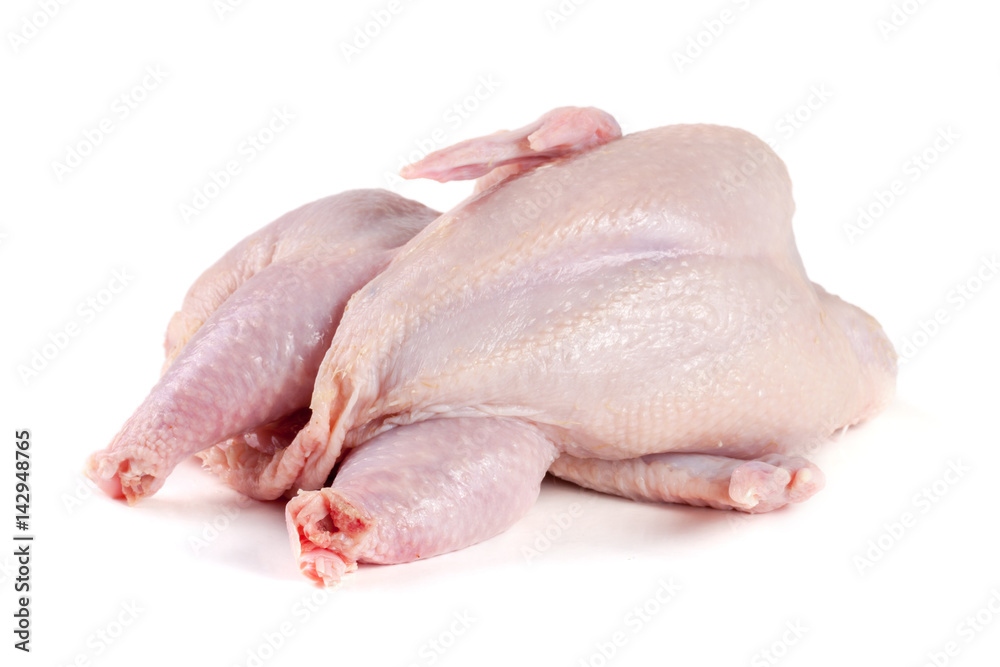 raw chicken carcass isolated on white background raw chicken carcass isolated on white background