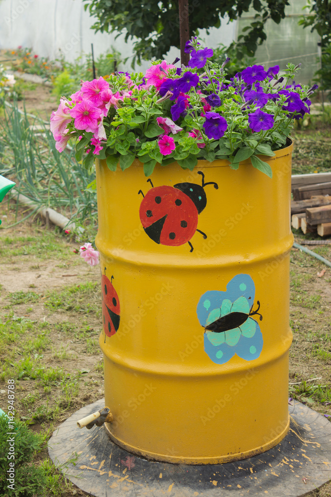 Flowers blooming in the old barrel Flowers blooming in the old barrel