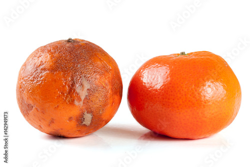 fresh and damaged tangerine isolated on white background photo