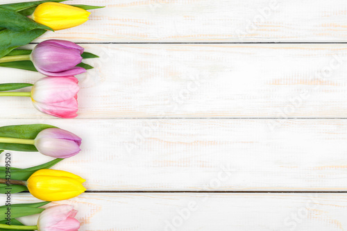 Line of colored tulips lying on a white wooden background