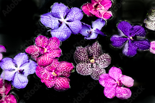 Orchid flowers on water