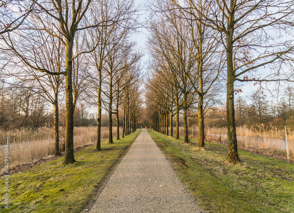 Path in national park, Flevoland, the Netherlands Path in national park, Flevoland, the Netherlands