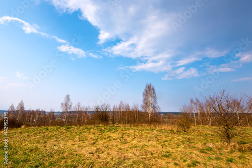 Field in springtime in Kashubia district in Poland. Europe.