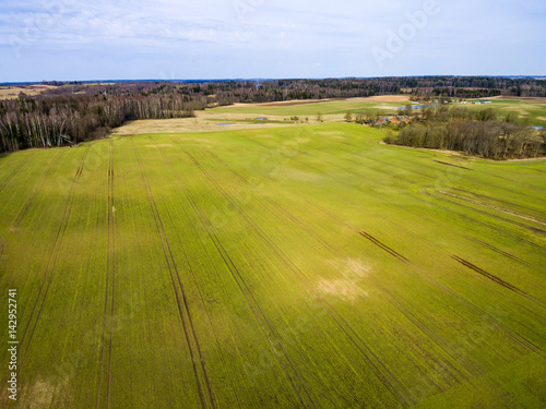drone image. aerial view of rural area with freshly green fields