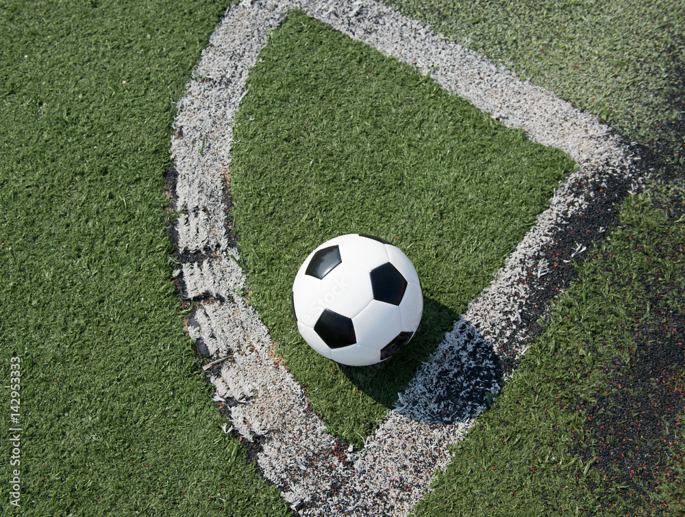 soccer ball on stadium grass line. soccer ball on stadium grass line.