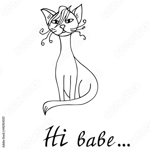 Cat hand drawn with hi babe lettering