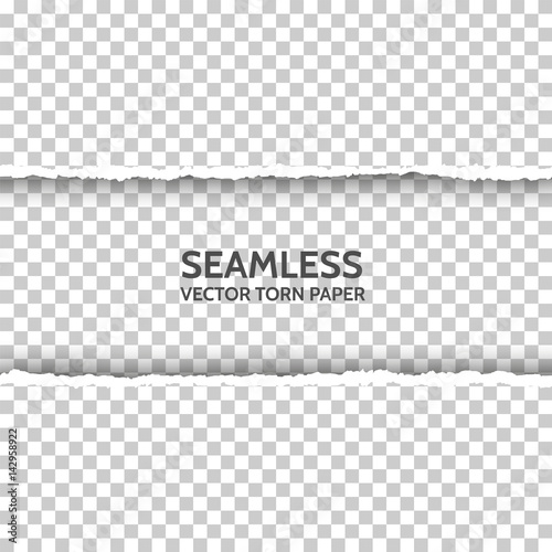 Vector seamless torn paper on transparent background. Isolated ripped paper edge with soft shadow. Template for your design. Sample text
