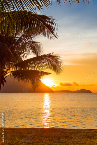 пальма на фоне рассвета  © lufotolab