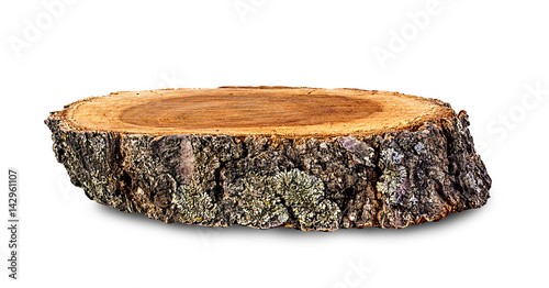 Cross section of tree trunk isolated on white