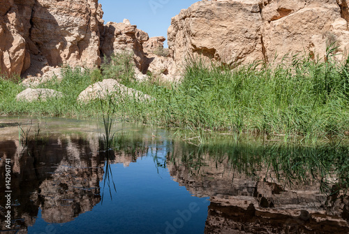 A great gorge with a river and reflections of rocks