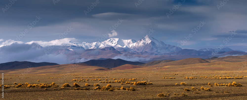 High Altiplano plateau, Eduardo Avaroa Andean Fauna National Reserve, Bolivia - obrazy, fototapety, plakaty 