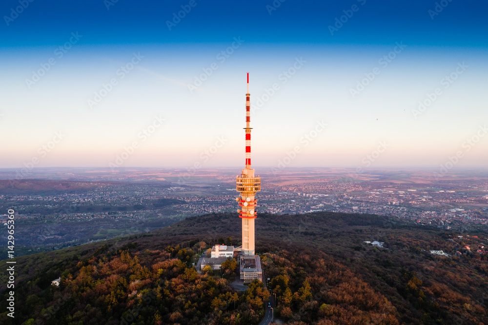 TV tower in forest