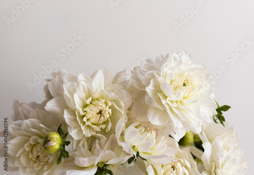 High angle view of white dahlias against white table  selective focus 