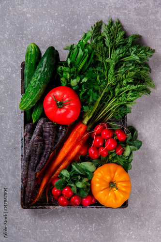 Bunch of fresh Colorful carrots with green leaves,Purple Carrot and Radishes on a grey stone Background. Vegetable.Food or Healthy diet concept.Vegetarian.Copy space for Text. selective focus.