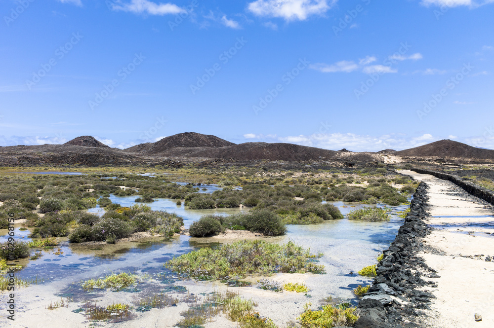 Salt meadows Canary Islands Los Lobos with hiking path.
