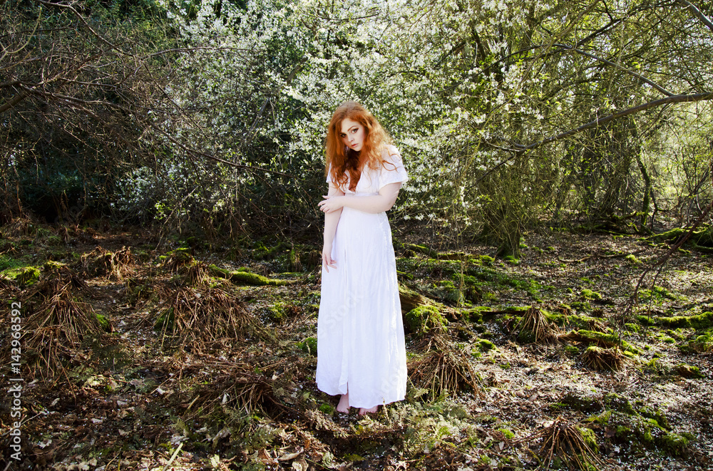Beautiful young woman with cascading long red hair, wearing a long white dress, posing in a woodland full of white blossom