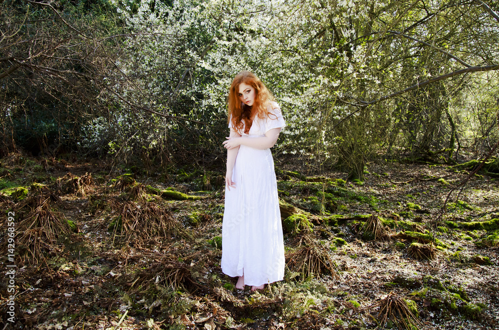 Beautiful young woman with cascading long red hair, wearing a long white dress, posing in a woodland full of white blossom Beautiful young woman with cascading long red hair, wearing a long white dress, posing in a woodland full of white blossom