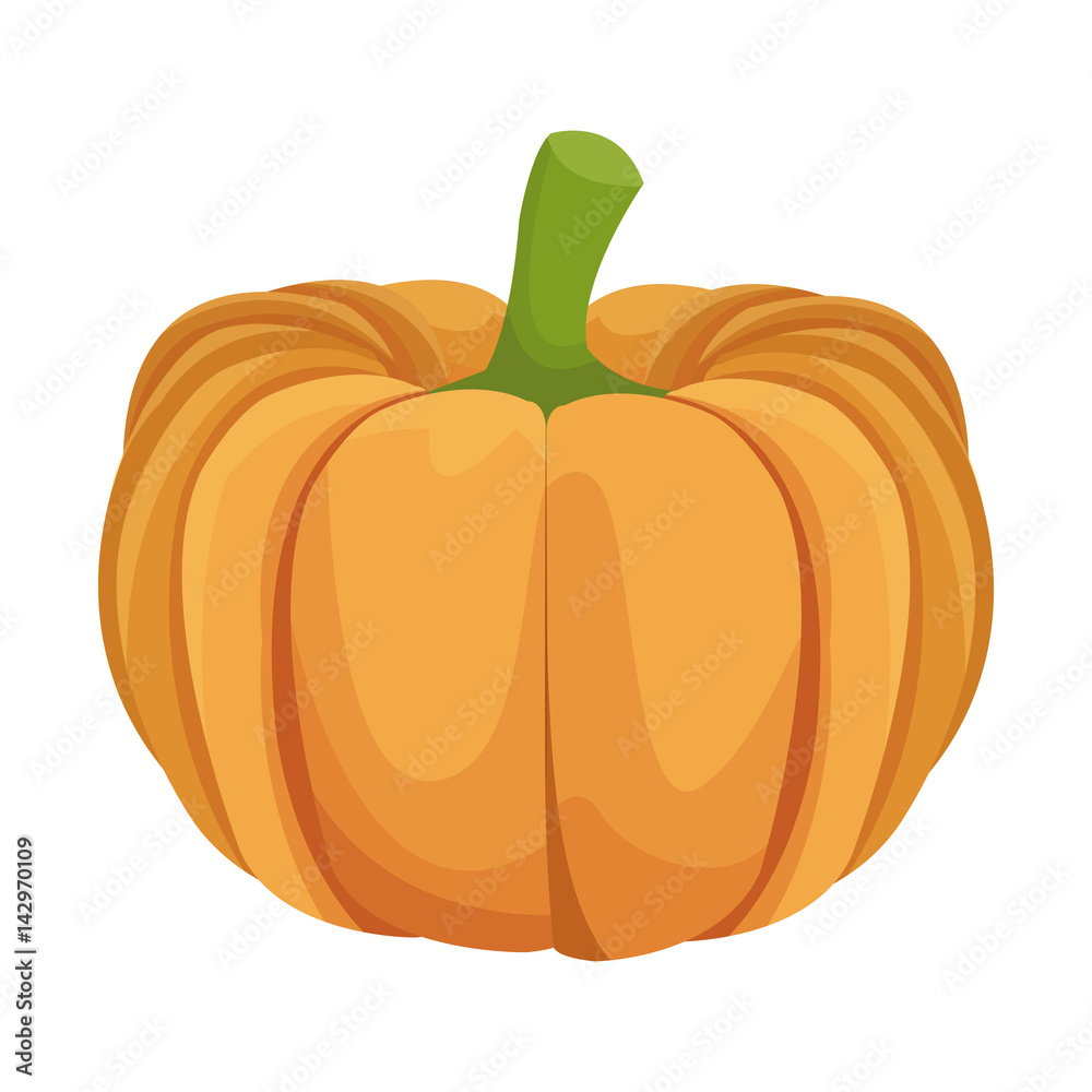 Obraz premium pumpkin vegetable icon over white background. colorful design. vector illustration