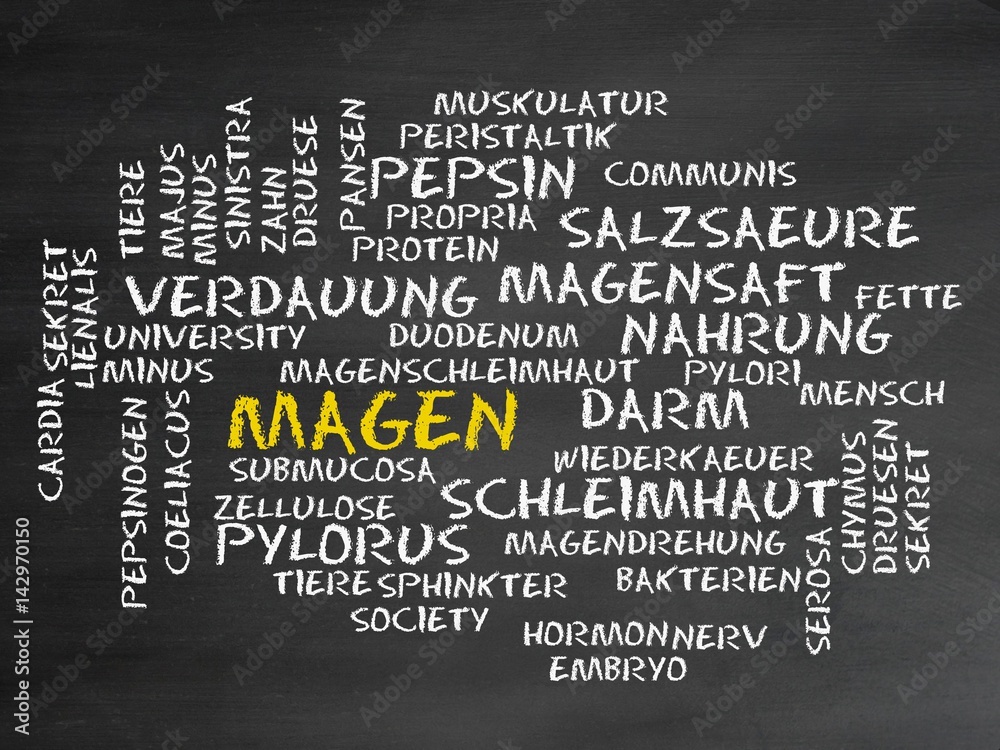 Magen Magen