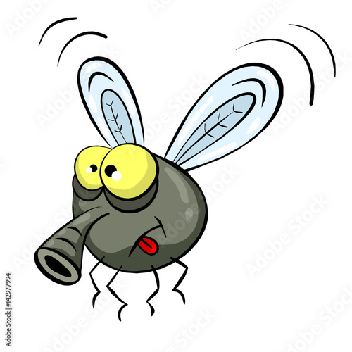 Cartoon Fly