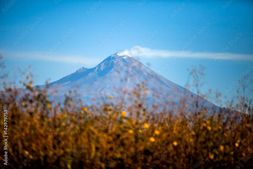 Fototapeta premium Mexican volcano landscape