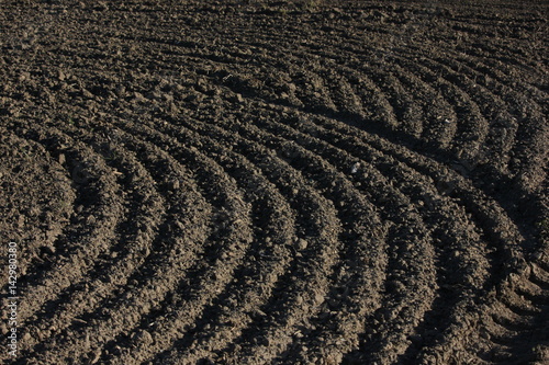 Tilled farmland texture